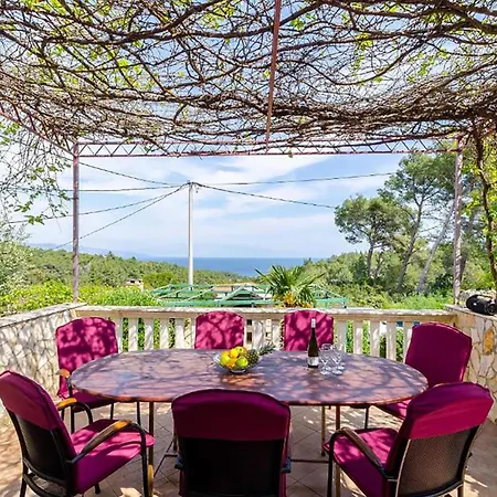 Amazing In Vikendica