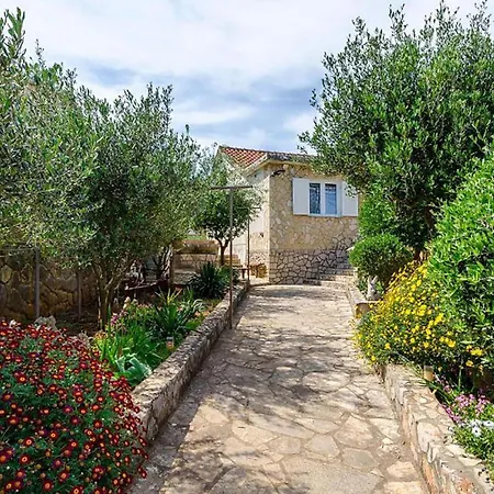 Vakantiehuis Amazing In *